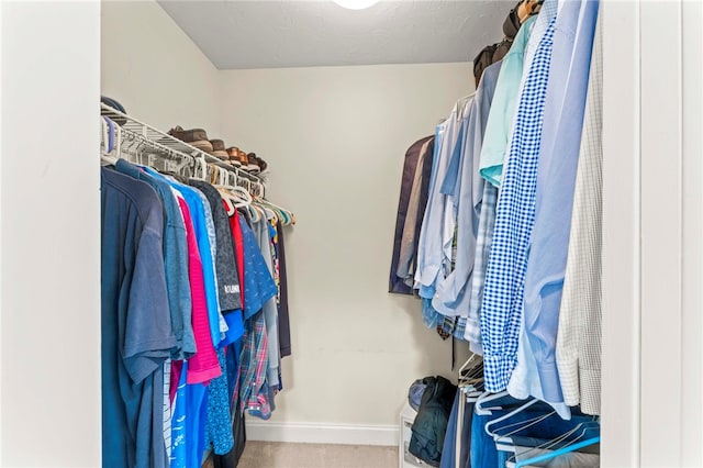 105 Pin Oak Ct, Peters Twp, PA 15367 - walk in closet featuring carpet floors