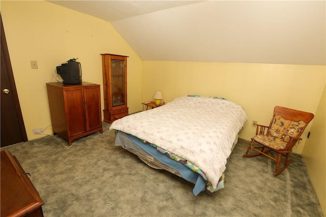 23 Main St, W Pike Run Twp, PA 15427 - bedroom featuring carpet flooring and vaulted ceiling