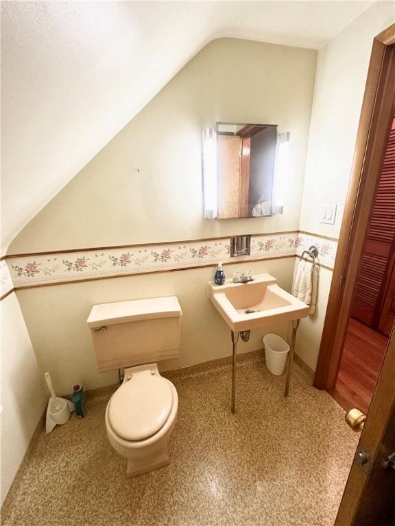 1425 Elgin, Aliquippa, PA 15001 - bathroom featuring toilet, lofted ceiling, and a sink
