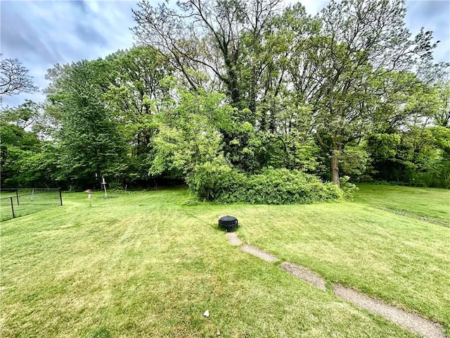 1425 Elgin, Aliquippa, PA 15001 - view of yard