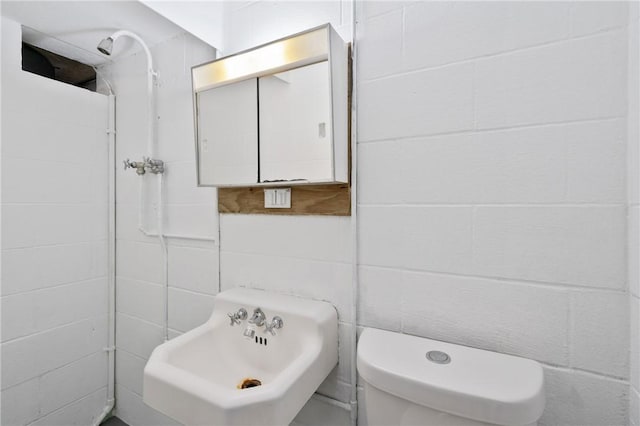 55 Lawrence St, Shaler, PA 15209 - bathroom with toilet