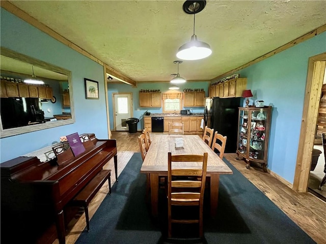 2513 Old Rte 18, New Beaver Boro, PA 16157 - dining space with dark wood-style flooring and a textured ceiling