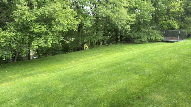229 Guckert Ln, Marshall, PA 15090 - view of green lawn with a trampoline
