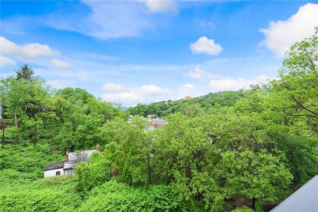 1521 Claim St, Troy Hill, PA 15212 - view of yard with a wooded view