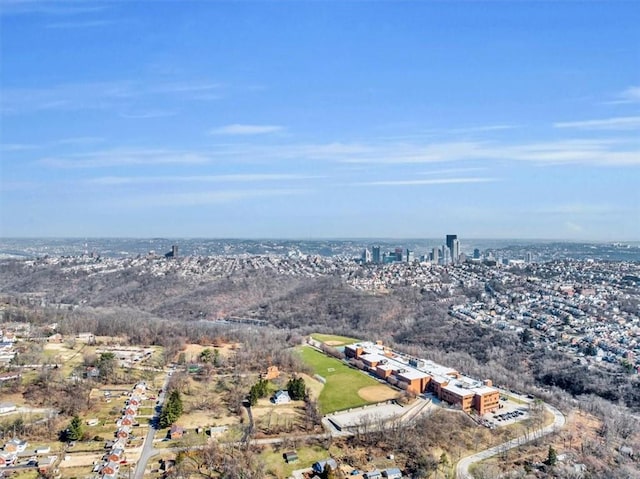 1303 Alton St, Beechview, PA 15216 - drone / aerial view