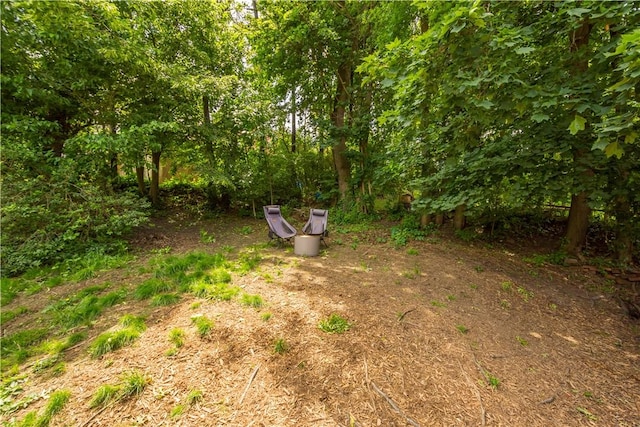 1415 Oakglen St, Crafton Heights, PA 15204 - view of yard