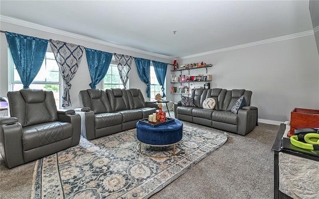 411 Fairgate, Pine Twp, PA 15090 - carpeted living room with ornamental molding and baseboards