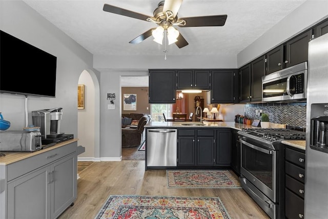 14 Cinque Terra Pl, Finleyville, PA 15332 - kitchen featuring appliances with stainless steel finishes, ceiling fan, arched walkways, light wood-style flooring, and a sink