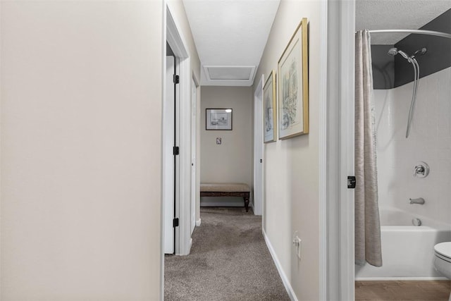 14 Cinque Terra Pl, Finleyville, PA 15332 - corridor featuring baseboards, a textured ceiling, carpet flooring, and attic access