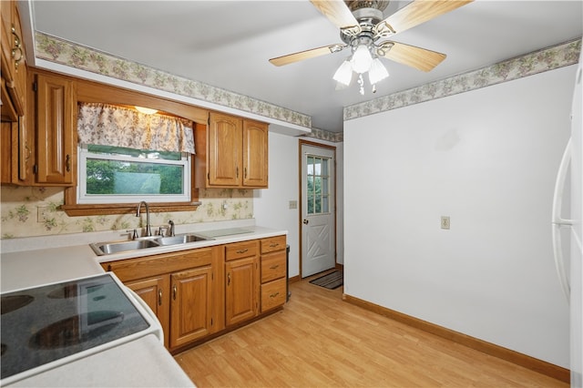 124 Plum St, Franklin Twp, PA 16117 - kitchen featuring a sink, light wood-style flooring, plenty of natural light, and light countertops