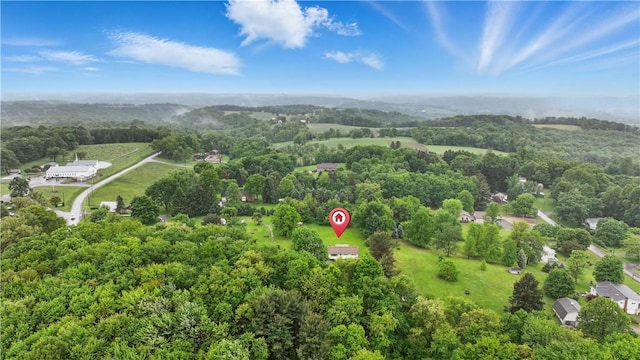 124 Plum St, Franklin Twp, PA 16117 - drone / aerial view of a forest