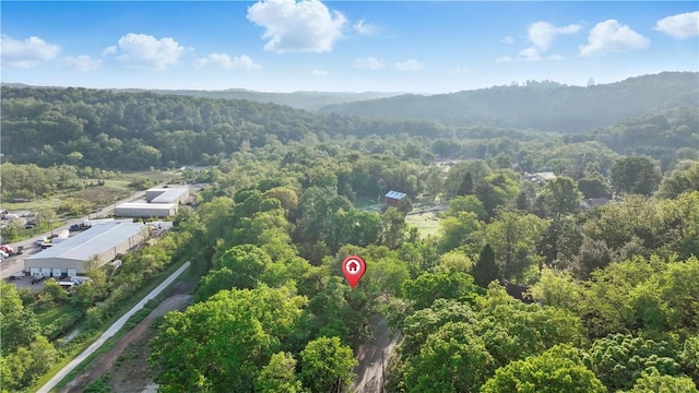 627 Seminary Ave, South Fayette, PA 15071 - drone / aerial view of a heavily wooded area and mountains
