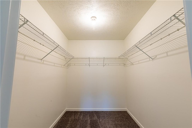 220 Chinkapin Dr, Natrona Hts/Harrison Twp, PA 15065 - spacious closet with carpet floors