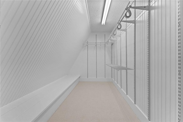 534 N Main St, Masontown, PA 15461 - spacious closet with carpet floors and vaulted ceiling