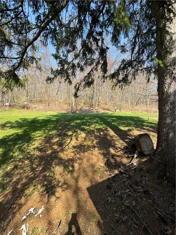 29 Old Mine Rd, Center Twp/Homer Cty, PA 15748 - view of grassy yard