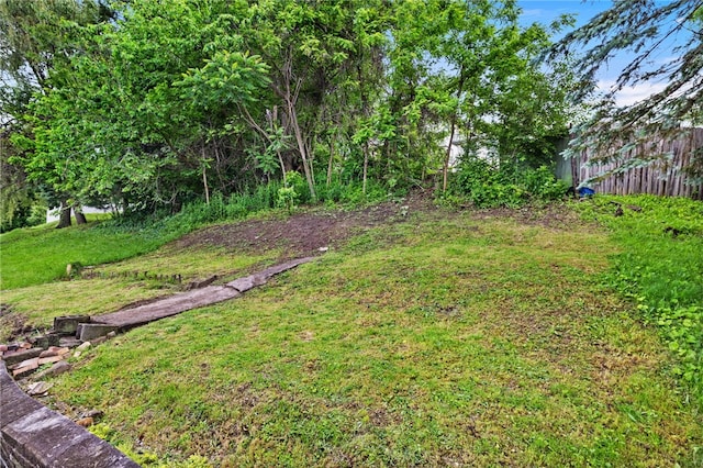 545 Ohio Ave, Midland Boro, PA 15059 - view of yard