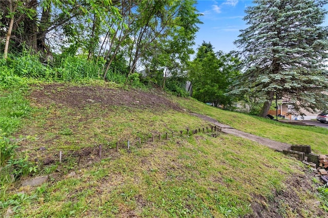 545 Ohio Ave, Midland Boro, PA 15059 - view of yard