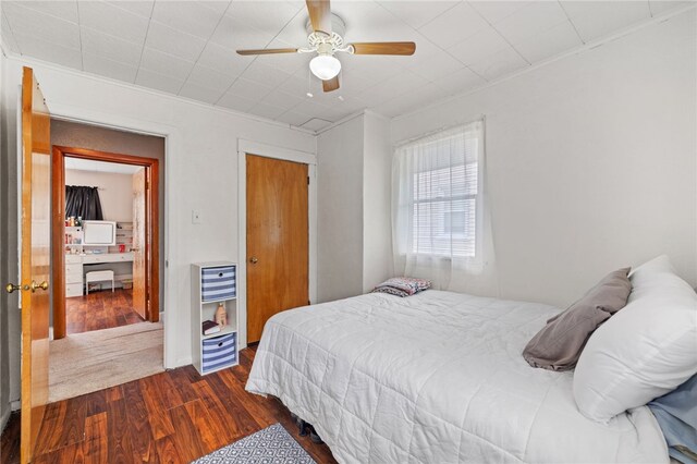 545 Ohio Ave, Midland Boro, PA 15059 - bedroom with wood finished floors, a closet, a ceiling fan, and ornamental molding