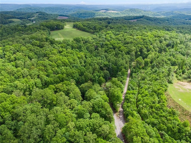 2554 Rte 259, Fairfield Twp, PA 15923 - bird's eye view of a forest