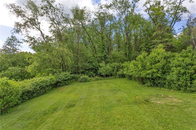 3815 Foster Rd N, Versailles, PA 15137 - view of green lawn featuring a view of trees