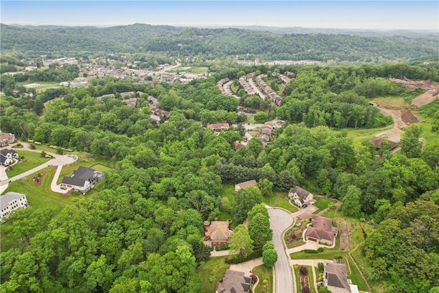 131 Hidden Valley Rd, Murrysville, PA 15146 - photo 47