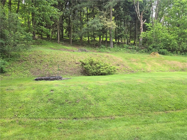 1126 Slate Point Rd, Parks Twp, PA 15690 - view of green lawn
