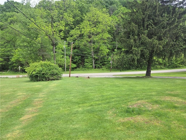 1126 Slate Point Rd, Parks Twp, PA 15690 - view of grassy yard featuring a forest view