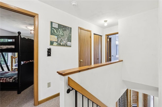 1630 Snowfield Way, Hidden Valley, PA 15502 - hall with baseboards, carpet, and an upstairs landing
