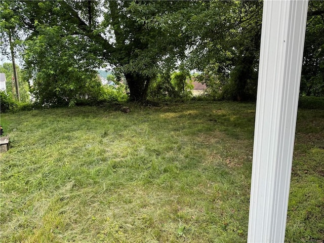 428 2nd St, Donora, PA 15033 - view of grassy yard