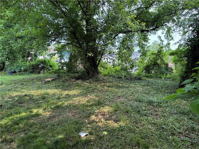 428 2nd St, Donora, PA 15033 - view of yard
