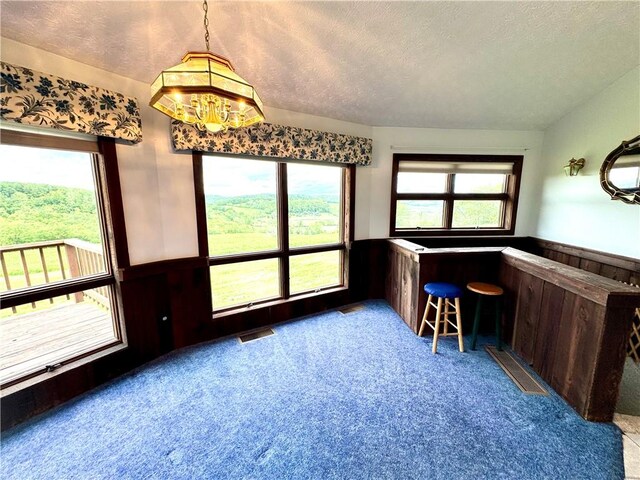 152 Aviator Ln, Somerset Twp, PA 15541 - dining area with a textured ceiling, carpet, wainscoting, healthy amount of natural light, and bar