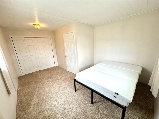 152 Aviator Ln, Somerset Twp, PA 15541 - bedroom featuring carpet and a closet