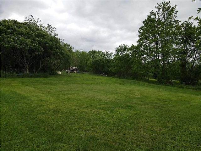 273 S Greengate Rd, Hempfield Twp Wml, PA 15601 - view of grassy yard
