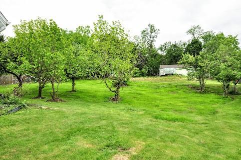 904 Mcclintock Ave, Washington Twp Fay, PA 15012 - view of green lawn