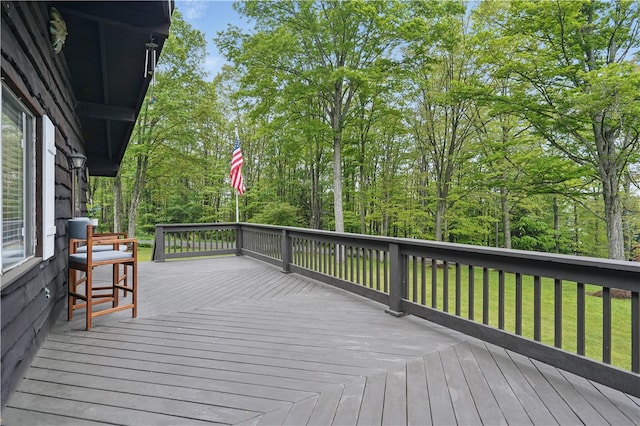 112 Ottawa Ln, Indian Lake Boro, PA 15926 - photo 38