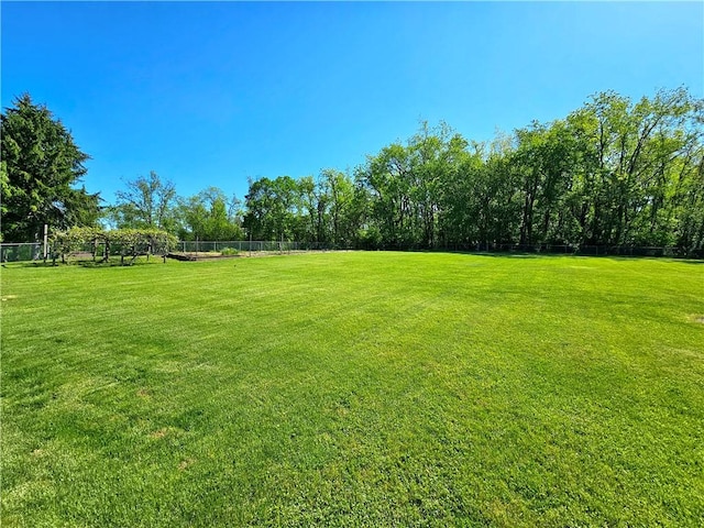 2977 Clay Pike, Sewickley Twp, PA 15678 - view of yard