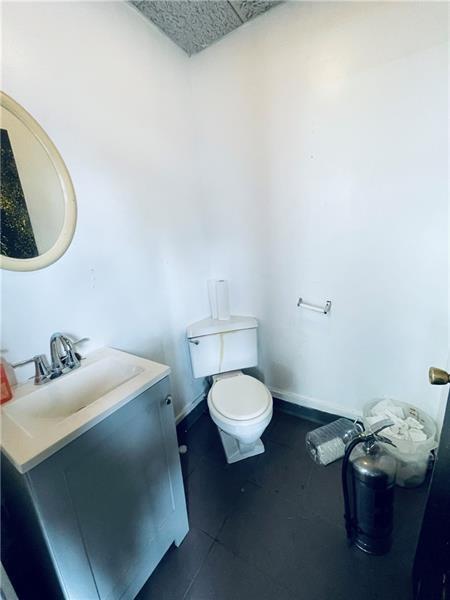 471 Lincoln Ave, Bellevue, PA 15202 - bathroom with toilet and vanity