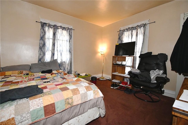 108 Locust St, Mount Oliver, PA 15210 - bedroom with baseboards, carpet flooring, and multiple windows