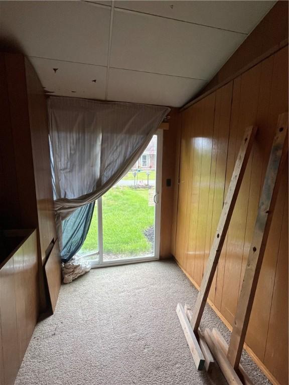 10672 Center Ave, Conneaut Lake, PA 16316 - detailed view of carpet flooring and wooden walls