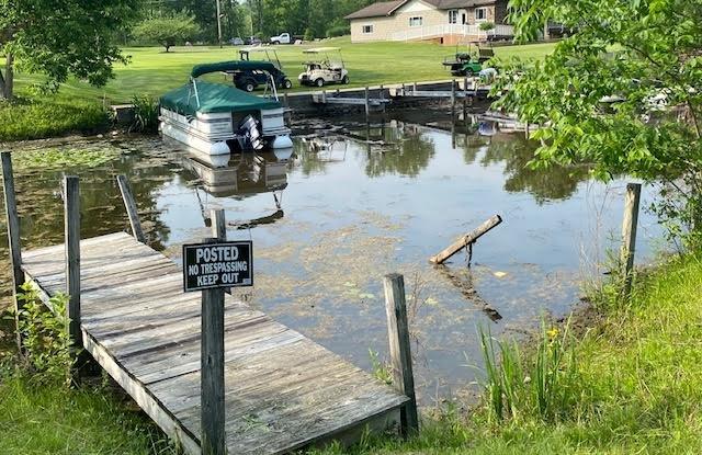 10672 Center Ave, Conneaut Lake, PA 16316 - dock with a water view and a yard