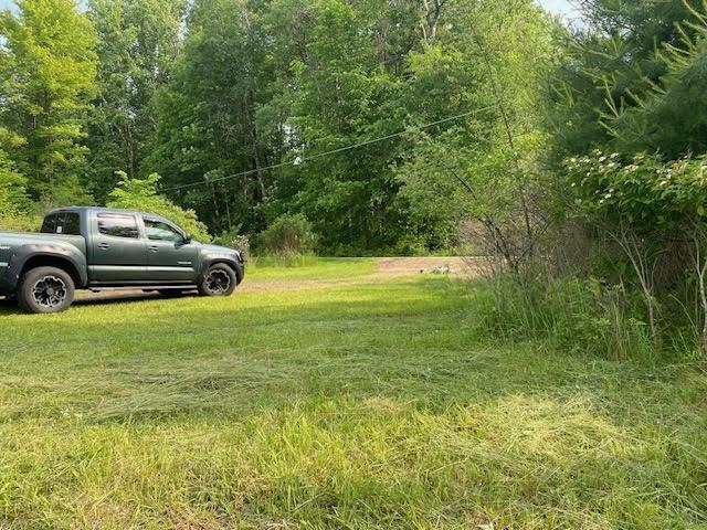10672 Center Ave, Conneaut Lake, PA 16316 - view of grassy yard with a view of trees