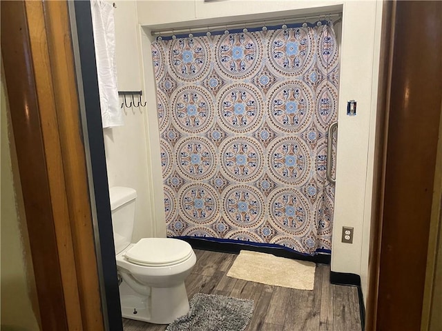 10672 Center Ave, Conneaut Lake, PA 16316 - full bathroom featuring wood finished floors and curtained shower