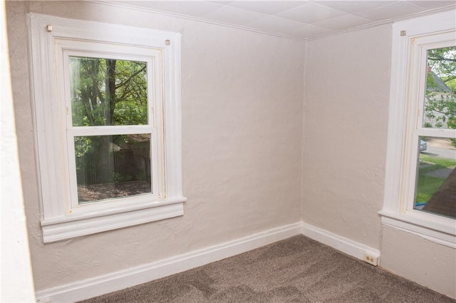 120 N 6th Ave, City Of But Nw, PA 16001 - empty room featuring carpet, baseboards, and ornamental molding