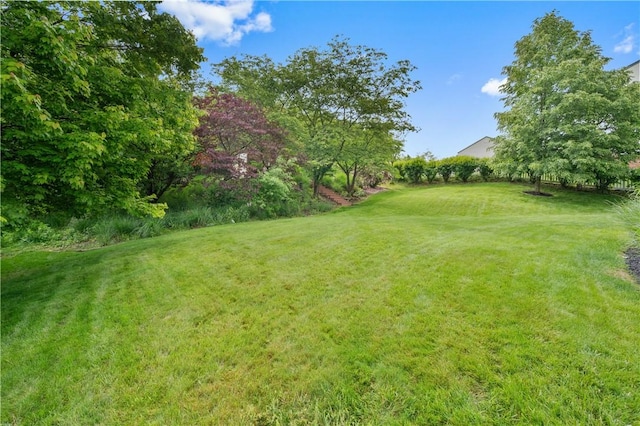 205 Emily Dr, Cranberry Twp, PA 16066 - view of grassy yard