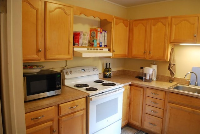 5120 5th Ave Unit 103, Shadyside, PA 15232 - kitchen with electric range, under cabinet range hood, a sink, light countertops, and light brown cabinetry