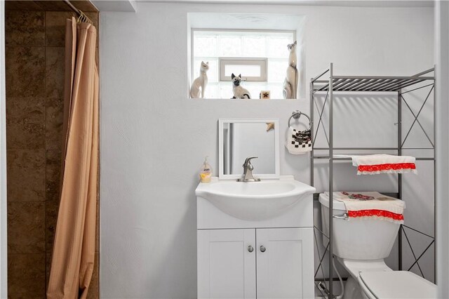 260 Bluemont Dr, West Mifflin, PA 15122 - full bathroom with vanity, toilet, and a tile shower