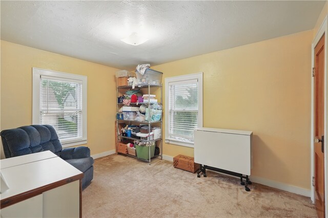 159 2nd Ave, Ross Twp, PA 15229 - office space featuring healthy amount of natural light, light colored carpet, and baseboards