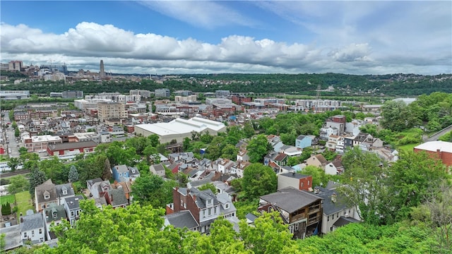 2511 Mission St, South Side, PA 15203 - drone / aerial view