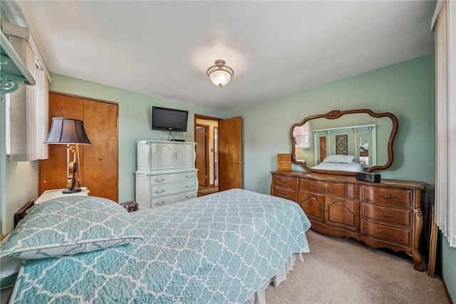 422 Mower Dr, Plum Boro, PA 15239 - bedroom with carpet flooring