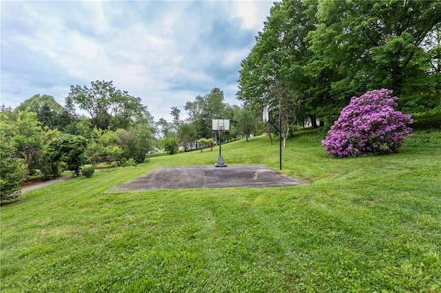 240 Connellsville St, Dunbar, PA 15431 - view of grassy yard with basketball court